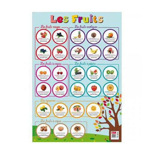 Poster pédagogique - J'apprends les fruits - 52x76cm - A afficher - Bouchut