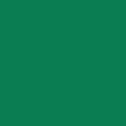 Recharge pour stylo roller - Vert - Pointe 0,5mm - Topball 850 - Schneider