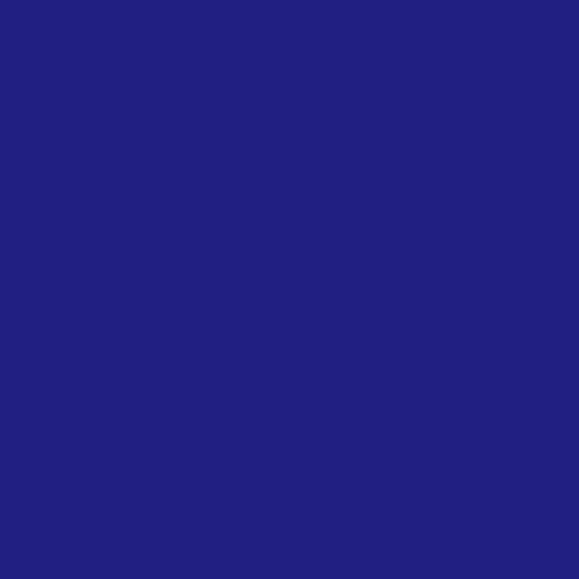 Pot de peinture pour tissu - Effet daim - Bleu marine - Pébéo - Setacolor - 45ml