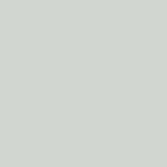 Ramette de papier - A4 - Gris acier - 160g - Impression - 250 feuilles - Clairefontaine Trophée