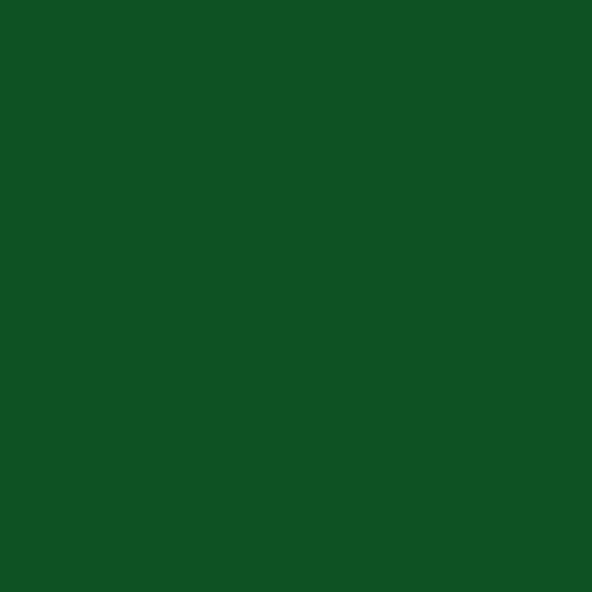 Bombe de peinture carrosserie voiture Racing RAL6002 Vert feuillage 400ml