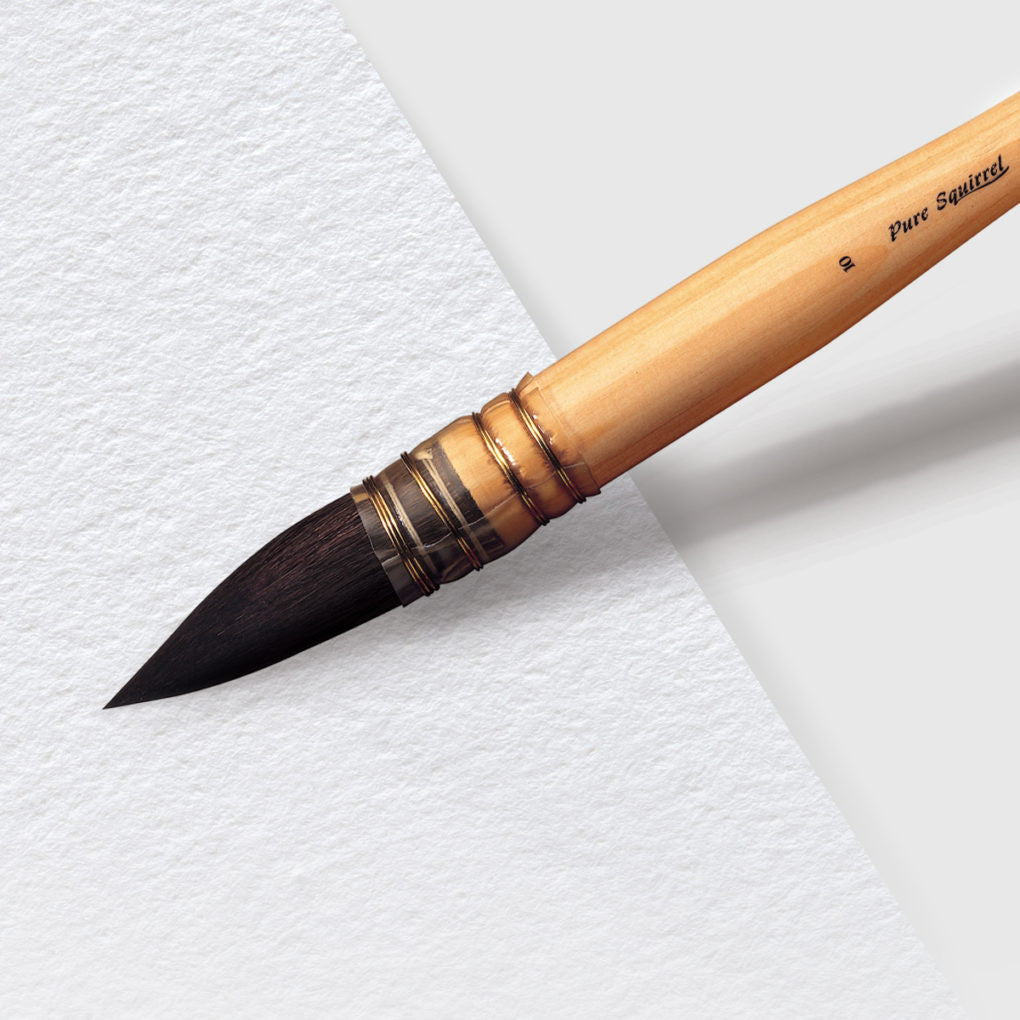 Pinceau - Lavis - Aquarelle - Winsor et Newton - Petit gris pur - N°3